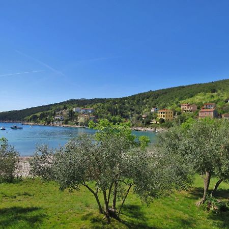 Holiday Home Andrea - Lbn415 By Interhome Labin  Bagian luar foto