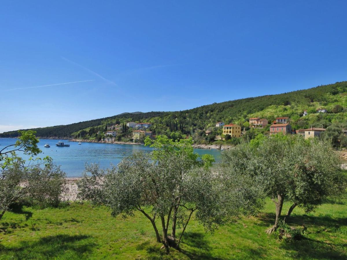 Holiday Home Andrea - Lbn415 By Interhome Labin  Bagian luar foto